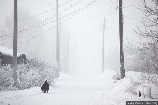 В Хатанге не потеплело в квартирах после устранения коммунальной аварии: прокуратура начала проверку
