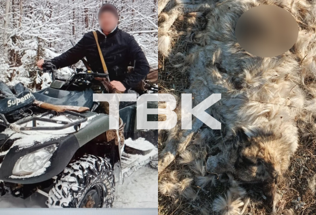«Он бывший полицейский, его покрывают»: жительница Красноярского края обвинила приставов в сговоре с бывшим мужем