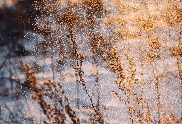 Ветер и потепление до -3℃: погода на выходные в Красноярске