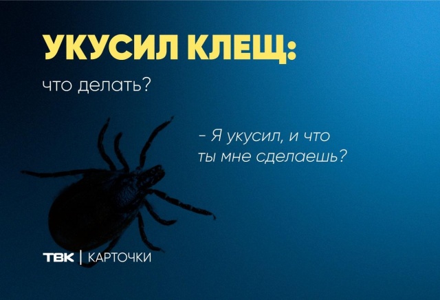 Что делать, если вас укусил клещ
