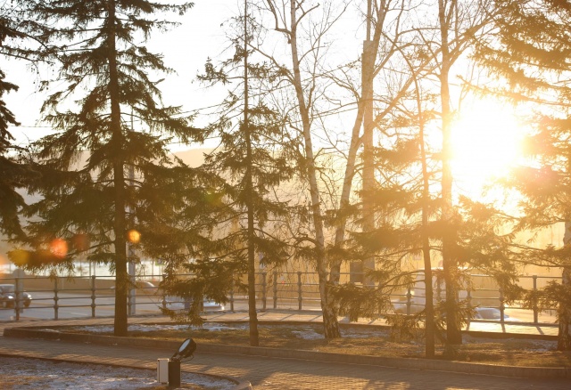 В Красноярск придет мини-лето: синоптики прогнозируют до +23°C