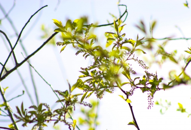 До +15°С: теплые, но облачные выходные ждут красноярцев