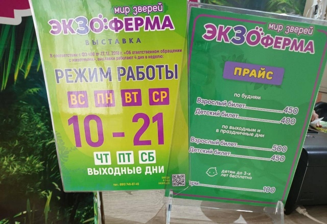 Контактный зоопарк закрыли за жестокое обращение с животными в Красноярске