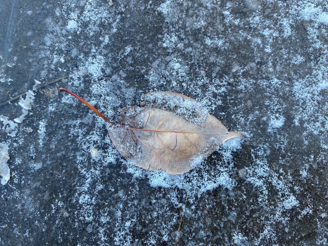 Похолодание до -15°C ожидается в Красноярском крае