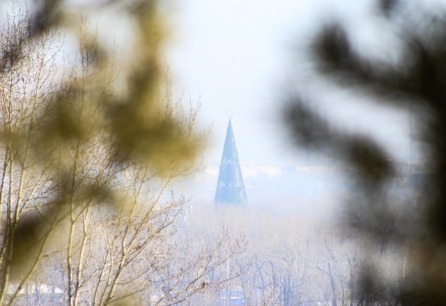 Новогоднюю елку на острове Татышев будут охранять за 2 млн рублей