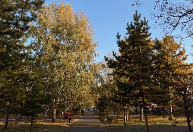 От +13°C до -10°C: прогноз погоды на начало ноября в Красноярске