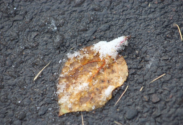 Мокрый снег ожидается в Красноярске на выходных