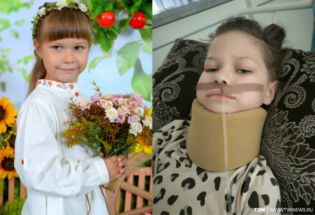 «После укуса клеща месяц пролежала в коме»: родители 6-летней девочки просят помощи красноярцев