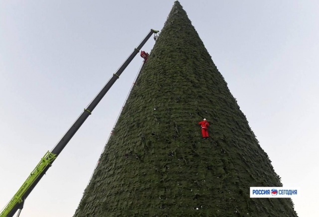 «Конус за бешеные бабки»: красноярцы раскритиковали главную городскую елку, которую установят на Татышев