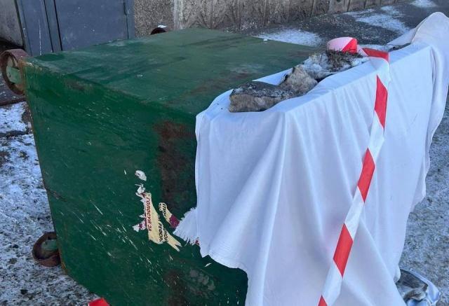 Красноярскую школьницу признали невменяемой: она выбросила новорожденного в мусоропровод