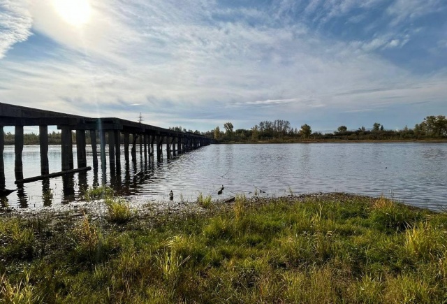 В Красноярске выбрали подрядчика для проектирования моста между Зеленой Рощей и островом Татышев