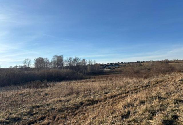 Почти 13 млн рублей требуют взыскать в пользу семьи погибшего от укусов собак мальчика в СНТ «Теремок»