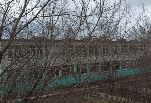 Стала известна причина заболевания детей из красноярского детского сада №271