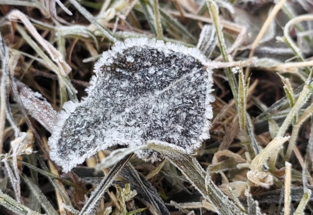 Похолодание до -10°C ждет красноярцев на рабочей неделе