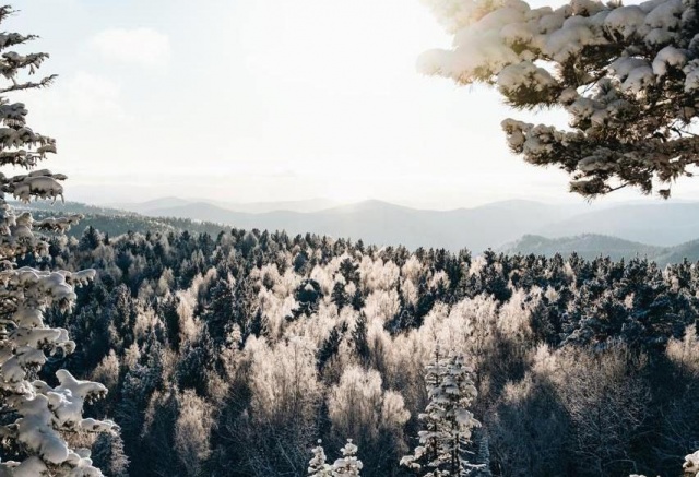 До -22°С ночью: прогноз погоды на выходные в Красноярске