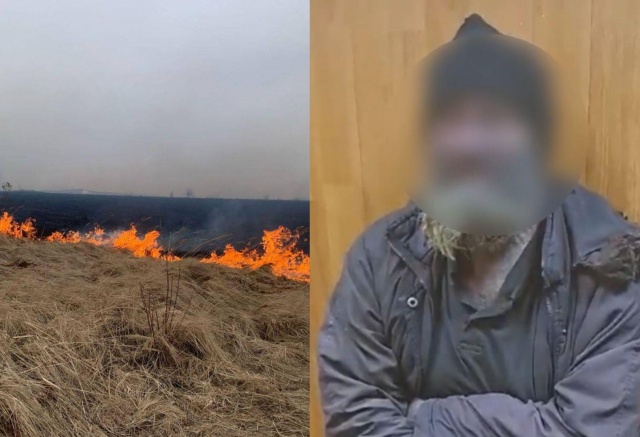 «Развел костер, много выгорело»: полицейские задержали виновного в утреннем пале травы на Кузнецовском плато