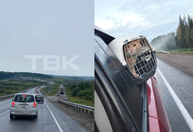 «Мы здесь надолго»: почему на выходных пробка от Кускуна растянулась на 30 км «Мы здесь надолго»: почему на выходных пробка от Кускуна растянулась на 30 км