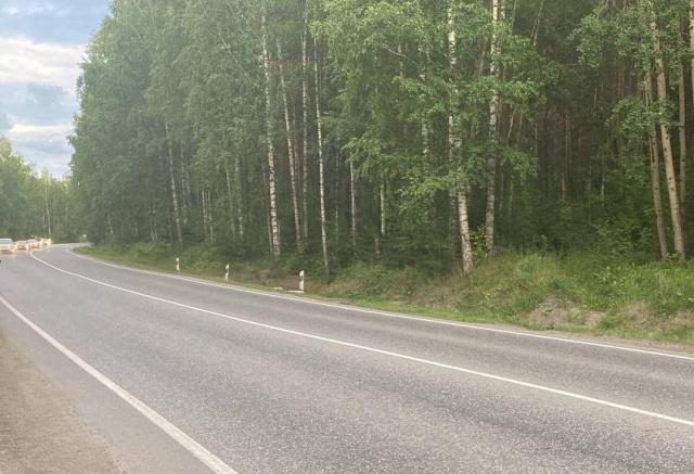 В Дивногорске установят камеры у виадука после убийства 16-летней девушки