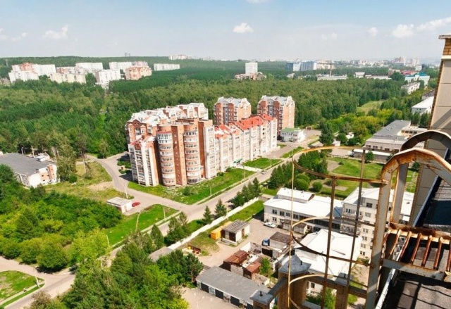 Медведя заметили в Академгородке Красноярска