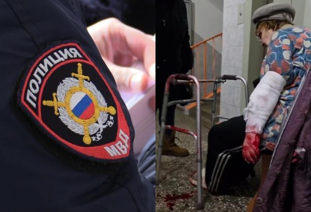 Домашняя овчарка напала на пенсионерку в Красноярске