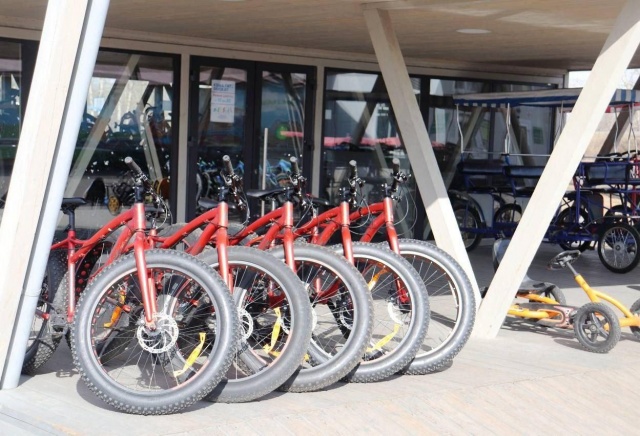 На красноярском острове Татышев открылся летний прокат: сколько стоит аренда велосипеда