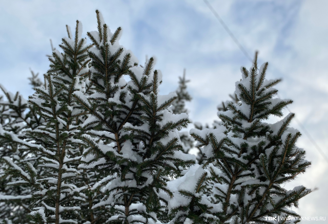 На первых зимних выходных в Красноярске потеплеет до -2 °C