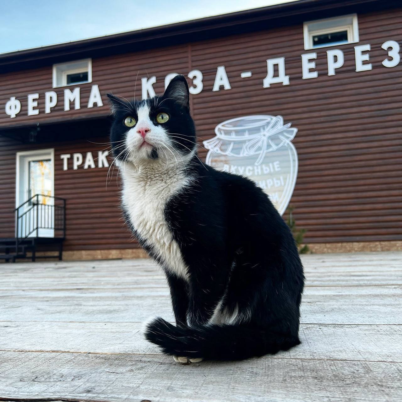 Где пожарить шашлыки в Красноярске и пригороде: 6 мест с беседками и  мангалами