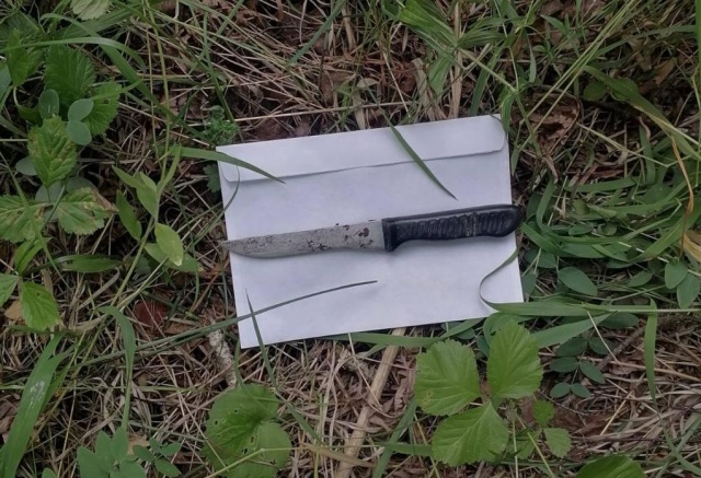 Следователи нашли нож на месте убийства 16-летней девочки из Дивногорска