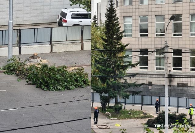 В центре Красноярска на месте строительства метро спиливают деревья