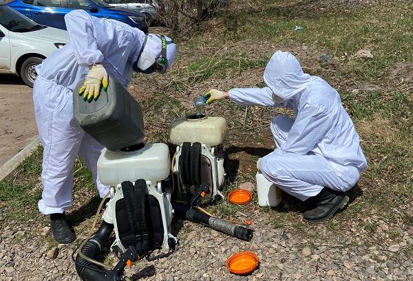 Красноярск обработают от клещей: список территорий