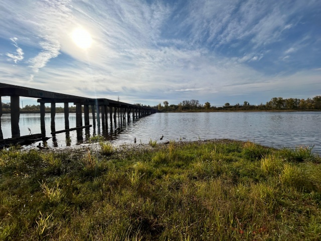Место для нового моста на остров Татышев выбрали в Красноярске