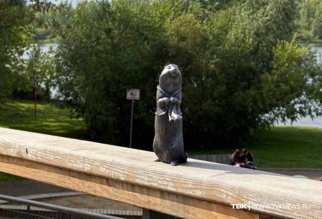 Шестого бронзового суслика установили в Красноярске