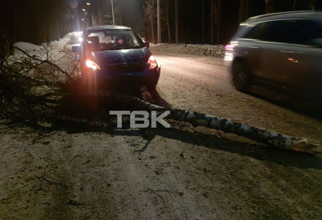 «Самолет с четвертого раза посадили»: ветер до 22 м/с обрушился на Красноярск