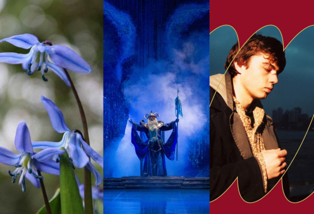 Балет о богатыре Байкале, праздник цветов и кинодворик: афиша на длинные выходные в Красноярске