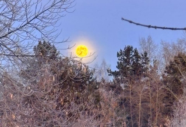 «Волчья Луна», парад планет и метеорные потоки: какие астрономические явления увидят красноярцы в январе