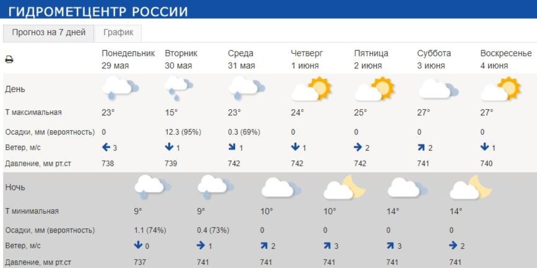 Гидрометцентр нижний новгород прогноз погоды на неделю. Гроза в Новосибирске.