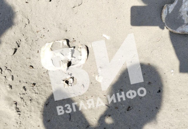 Скелет человека нашли на берегу Красноярского водохранилища