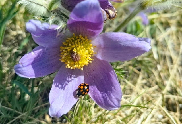 +22°С и дождь: теплые выходные ждут красноярцев