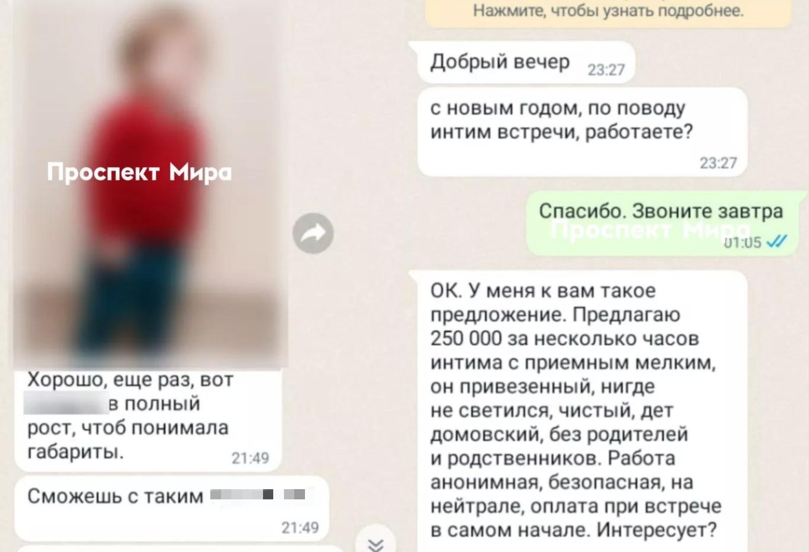 Красноярка заявила, что неизвестный предлагал секс-работницам из разных  городов интим с маленьким ребенком