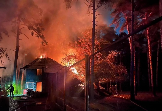 «Беда всколыхнула всех коллег»: «Роев ручей» готов помочь новосибирскому зоопарку, где в пожаре погибли животные