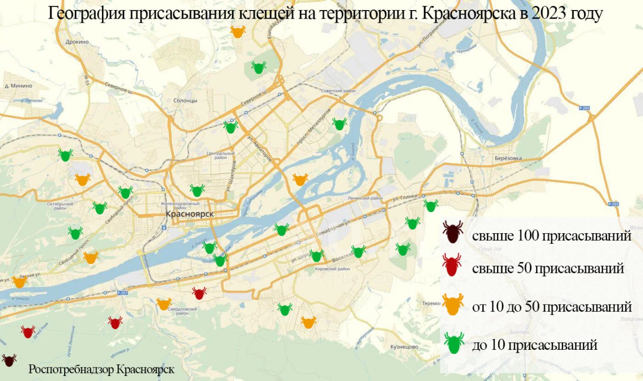 Где в Красноярске чаще всего присасываются клещи: карта