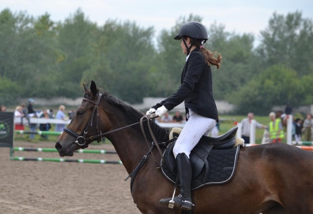 Красноярский ипподром подготовил эскиз реконструкции и просит краевых властей о помощи