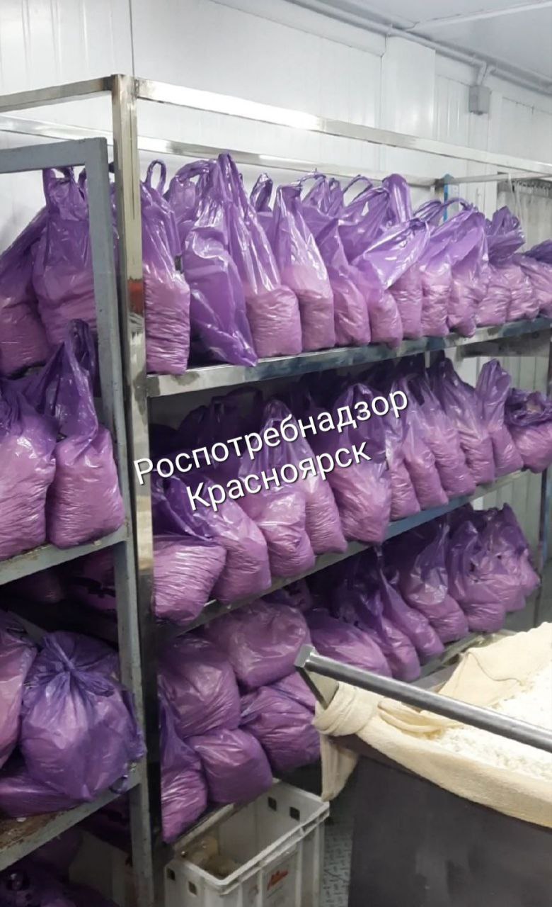 Кишечная палочка и плесень: три тонны молочной продукции уничтожили на  красноярском предприятии