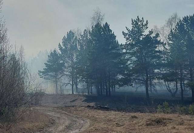 Подожгла прошлогоднюю траву, чтобы выросла новая: пенсионерка устроила пожар в Ачинске