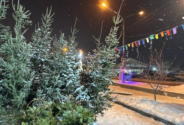 Где в Красноярске можно будет купить живую елку: адреса базаров