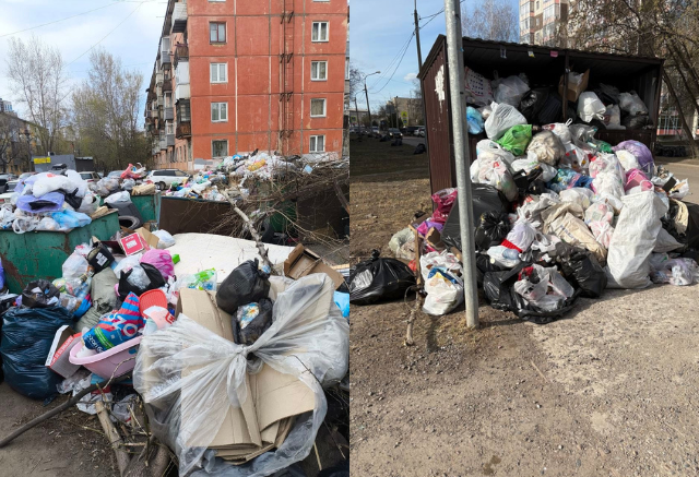 «Крысы размером с кошек»: жители Красноярска массово сообщают о переполненных мусорках