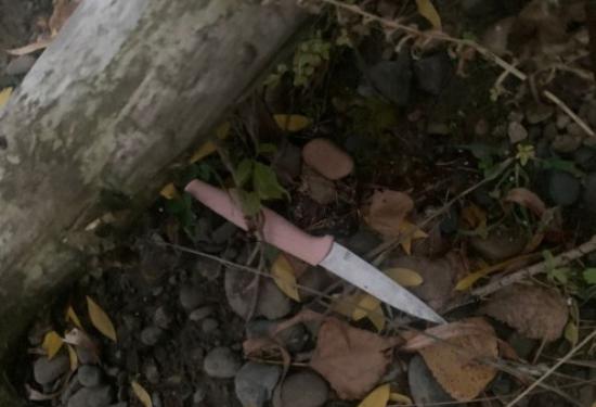 «Проверял, можно ли убить ножом в шею»: красноярца отправили на принудительное лечение за покушение на убийство