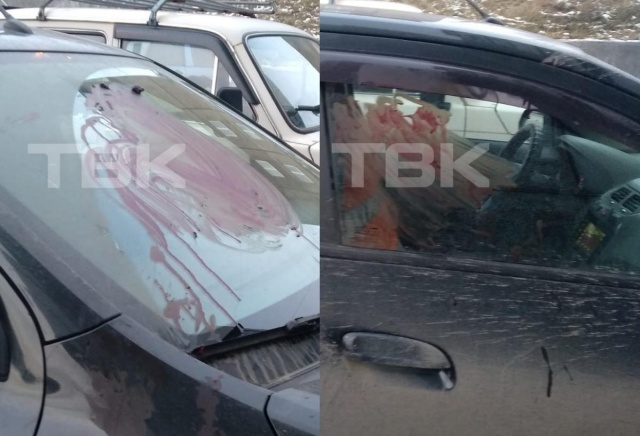 «Разбил стекла в подъезде, испачкал кровью машины»: красноярец устроил дебош в Солнечном