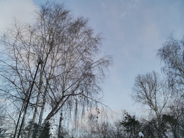 Ветер до 18 м/c ожидается в Красноярске в последний день зимы Ветер до 18 м/c ожидается в Красноярске в последний день зимы