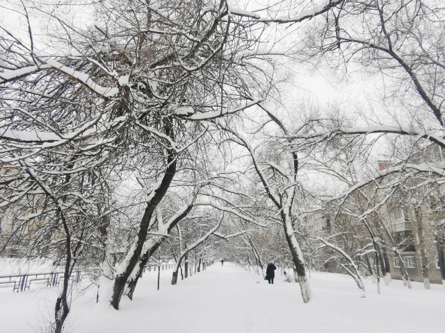 На последних декабрьских выходных в Красноярск придет похолодание